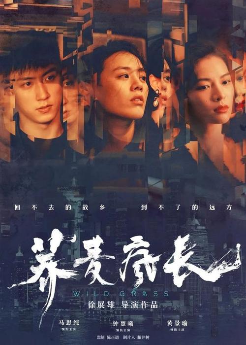 办假的阿比利基督大学毕业证